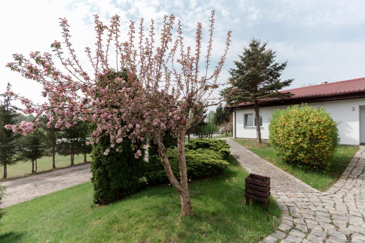 Petrico Camp Resort Krzywoploty  Exteriör bild